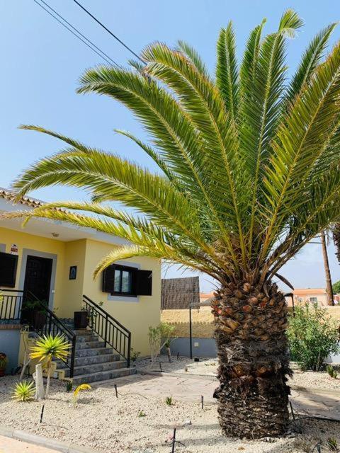 Vivienda Vacacional Tinizara Arona  Esterno foto